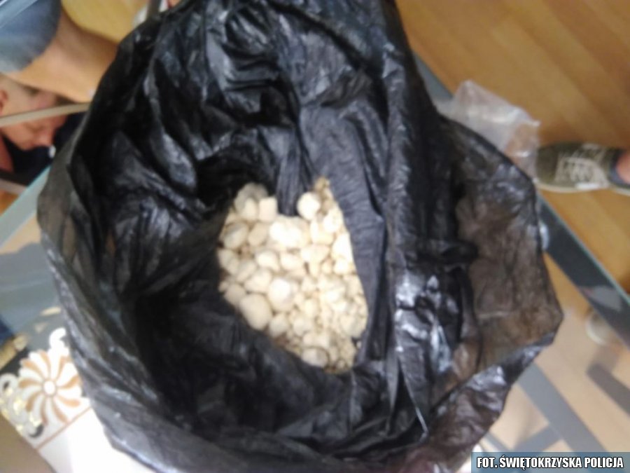 Policjanci zabezpieczyli ponad dwa kilogramy narkotyków