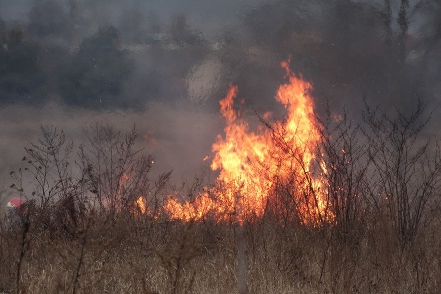 OSP z Bliżyna nie wyjadą do pożarów traw. Tak zdecydował wójt