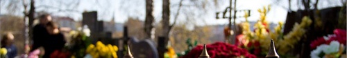 kielce wiadomości Zbliża się XXI kwesta na cmentarzach kieleckich