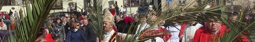 kielce wiadomości Niedziela Palmowa w Kielcach - procesja wiernych przeszła prze