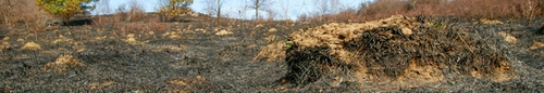 kielce wiadomości Płoną trawy i nieużytki. Ponad 400 pożarów w woj. świętokrzysk