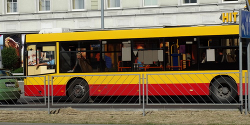 kielce wiadomości W piątek za darmo pojedziesz autobusem w Kielcach