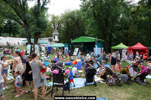 kielce wiadomości Kieleckie mamy piknikowały w ogrodzie Pałacyku Zielińskiego (ZDJĘCIA,WIDEO) 