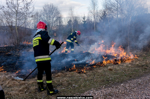 kielce wiadomości Strażacy walczyli z pożarem łąk (ZDJĘCIA) 