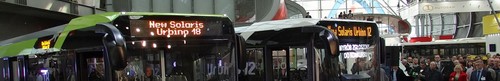 kielce wiadomości Rozpoczyna się wystawa autobusowa  TRANSEXPO 2016