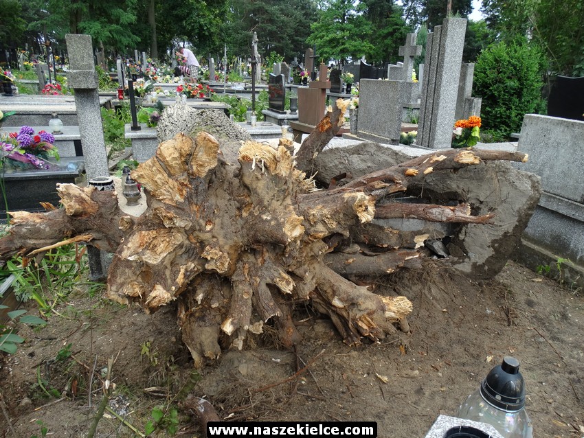  Poniszczone groby na cmentarzu na Białogonie 20.06.2016
