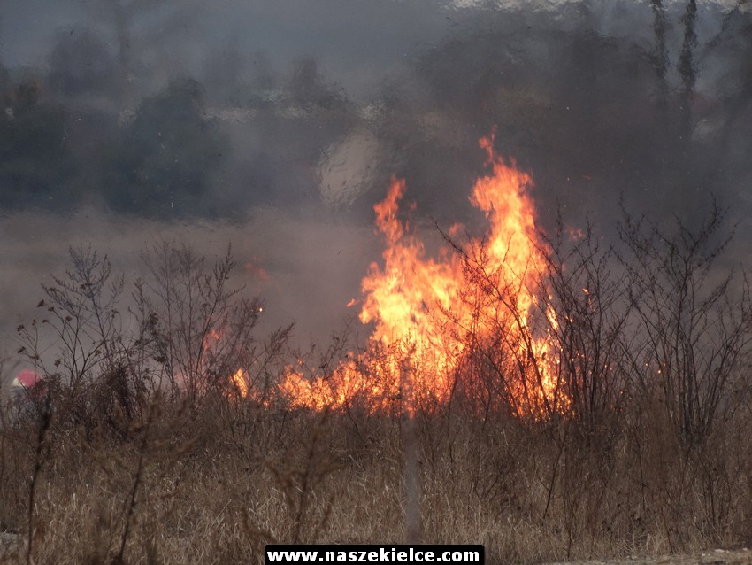 Pożar traw na kieleckim Biesaku 28.02.2017 